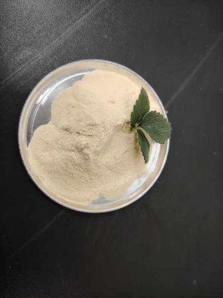 Buy cheap Enzymatic Bone Peptone PH 5-7 Yellow Powder Total Soluble N 15% from wholesalers