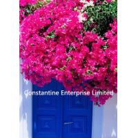 Buy cheap 230gsm glossy inkjet photo paper product