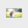 Buy cheap 27 Inch LCD Display High Brightness 1920*1080 LVDS 700 Nits Display from wholesalers