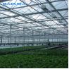 Buy cheap Multi Span Venlo Glass Greenhouse 140mm/H Capacity ISO9001 Certificated from wholesalers