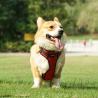 Buy cheap Waterproof Hi Vis Harness For Dogs LED Light Up Dog Harness XS-XL from wholesalers