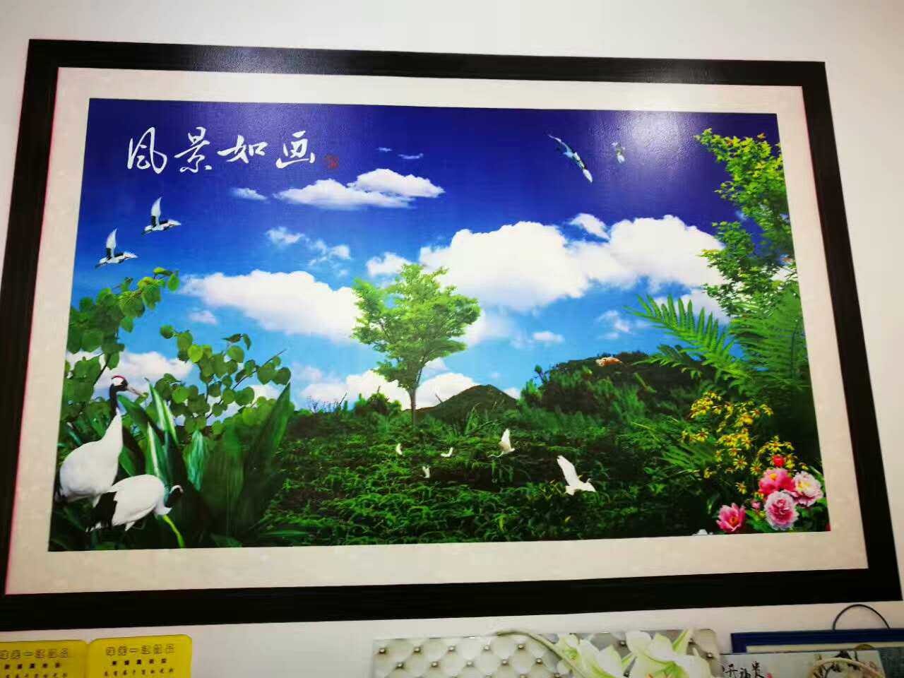 Zkmc Vertical Wall Printing Machine