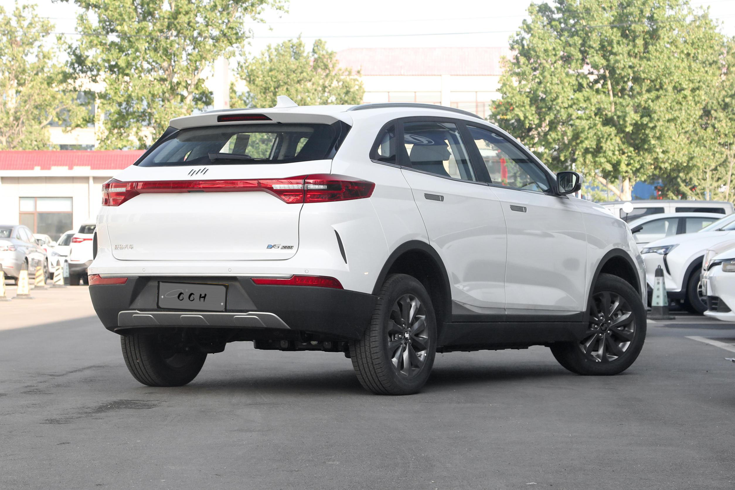 2023 Professional Popular Hot Sale Sightseeing Electric Cars Left Hand Drive VW EX5-Z new energy vehicle