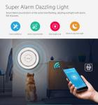 Sound And Light Alarm