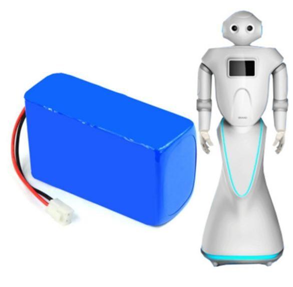 Buy cheap 24V 20AH Lithium Batteries For Electric Guding Robot , Safe / Light / Compact from wholesalers