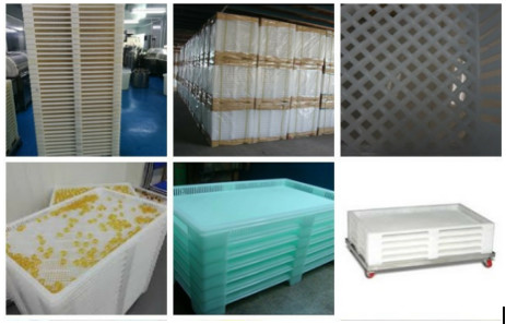 600 Color Softgel Drying Tray Food Grade PP Rectangle Shape