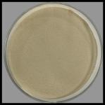 Animal Feed Amino Acid Powder Fully Water Soluble