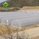 Hydroponic Tropical Area Polytunnel Greenhouse With Climate Control
