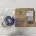 SDLG sealing kit , 4120004768017, grader spare parts for grader SDLG G9165/