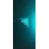 Buy cheap HAA 95/5 Primid Powder Coating Polyester Resin No Bloming Curing Low Temp from wholesalers