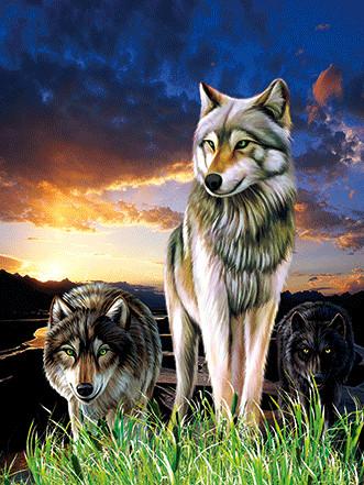 Buy cheap 0.6mm PET+157g Coated Paper 3D Lenticular Pictures / 3D Lenticular Wall Art from wholesalers