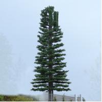 Buy cheap ChangTong Camouflaged Self Supporting Tv Antenna Towers product