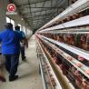 Buy cheap Deep Galvanized Egg Laying Layer Chicken Cage Prevent Disease Infection from wholesalers