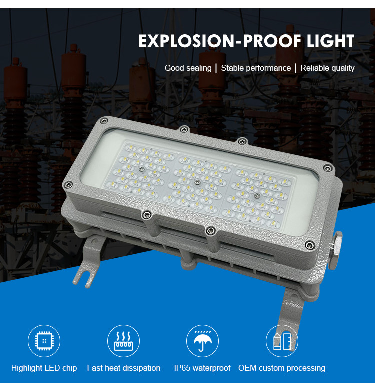 Ip66 Explosion Proof Flood Light 50w Zone 1 Atex Lighting