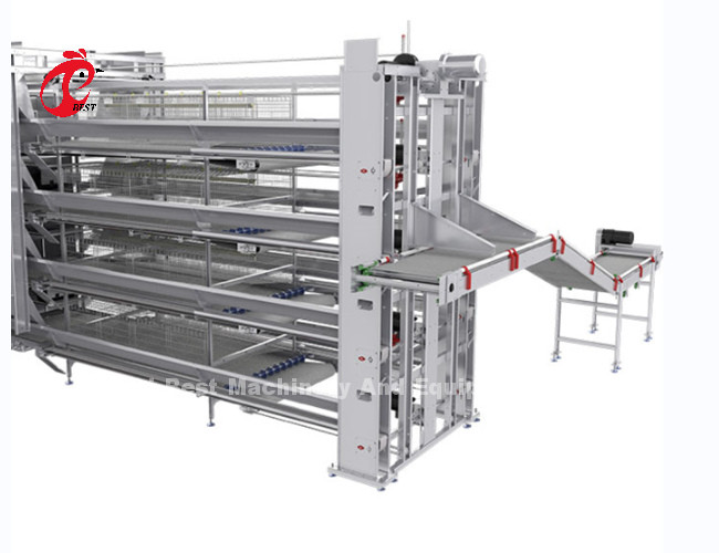 Automatic Egg Layer Chicken Farm Laying Hens Poultry Battery Cages Rose