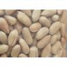 Buy cheap Blanched Peanut Roasted Seeds And Nuts Light Yellow Colour Dried Style from wholesalers