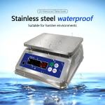 SOHE S5 3KG Stainless Steel Scale with Dual LED Display and IP68 Waterproof