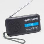 DC3V Carton Handheld AM FM Radio DC AA Battery Powered AM FM Radio