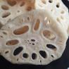 Buy cheap Salt lotus root crisp lotus root crisp fried dehydrated vegetables dried lotus root chips from wholesalers