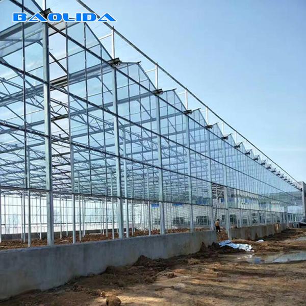 Buy cheap Multi Span Galvanized Steel Frame Glass Covering Venlo Glass Greenhouse from wholesalers
