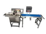 Small Chocolate Enrober Chocolate Making Machine