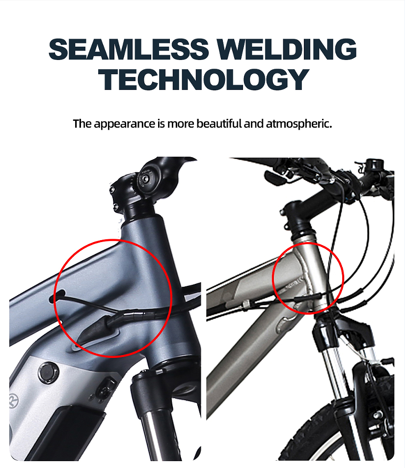Weldless Frame Electric Fat Tire Bike Full Suspension 750W 26 Inch Fat Tire Electric Bike