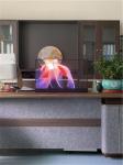 P3.91 Transparant LED Screen Holographic Invisible Energy Efficiency