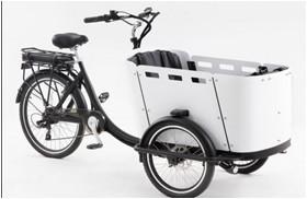 Buy cheap 250W Kid / Cargo Electric Delivery Tricycle With Canopy from wholesalers
