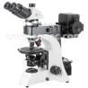Buy cheap Compound Polarizing Light Microscope from wholesalers