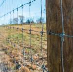 Hight Quality cattle wire mesh fence galvanized farm fence / Farm cattle wire