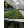 Buy cheap Greenhouse Benches Hot Galvanized Garden Planting Table Grow Bed from wholesalers