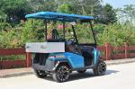 Fuel Type Electric Golf Vehicle / 2 Seater Golf Buggy 1 Year Warranty