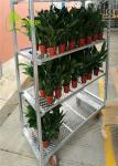 Customized Dutch Flower Trolley Hot Dip Galvanizing