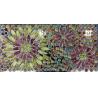 Buy cheap SGS 30x60cm Crystal Polished Tile Golden Luxury Decoration W.A 0.01 from wholesalers