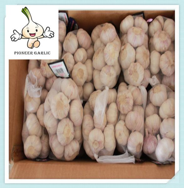 Buy cheap fresh garlic Good Price Chinese Purple Garlic 5.5CM Purple Skin Garlic from wholesalers