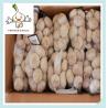 Buy cheap 10Kg Bag Pure White Garlic 5.5CM China 10kg/bag normal white garlic from wholesalers