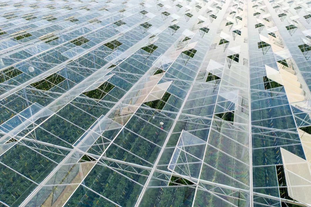 Chinese Origin Glass Greenhouse with Hydroponic System