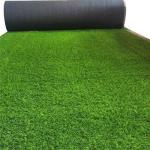 International Class Curving Yarn Form Synthetic Green Carpet for Indoor and