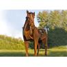 Buy cheap Life Size Metal Horse Sculpture / Metal Horse Garden Sculpture Rusty Finishing from wholesalers