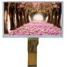 Buy cheap Customized IPS TFT LCD Display from wholesalers