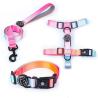 Buy cheap Gradient Waterproof Harness Collar Leash Set Blue Pink Purple Puppy Collar And Lead Set from wholesalers
