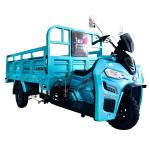 Cargo Transportation 200cc Tricycle with Engine and 50*100 Chassis in Cote d