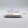 Buy cheap Square Lunch Biodegradable Sugarcane Bagasse Plates 3 Compartment from wholesalers