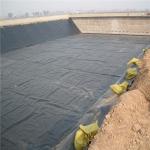 ASTM GRI-GM13 Standard HDPE Liner for Fish Farming Tank Shrimp Pond 100% Virgin