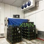 Vegetable/Meat/Fish/Shrimp/Fruit Cool Cold Storage Room with Outdoor Condenser