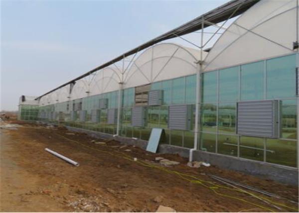 Buy cheap Beautiful Appearance Agricultural Glass Greenhouse Venlo Type For Exhibition from wholesalers
