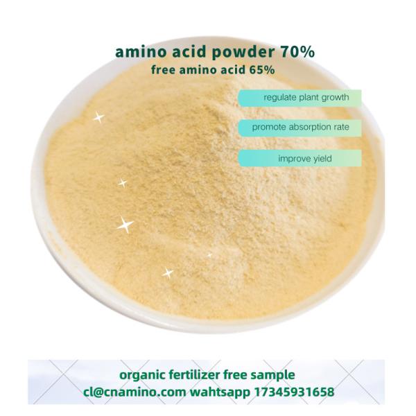 Buy cheap Foliar Amino 70% With Free Amino Acid 65% Agriculture Fertilizer Powder Form For Farming Plants from wholesalers