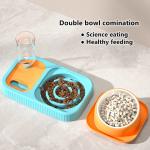 Stainless Steel Pet Slow Feeder Tilted Cat Dog Bowls Set