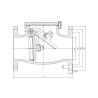Buy cheap BS 5153 Standard Flanged Swing Check Valve Blue PN16 Cast Iron from wholesalers