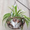 Buy cheap Iron Balcony Flower Pot Hanging Basket from wholesalers